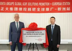 俄克拉荷马雷霆清晨迎来里程碑里昂内部会议纪要流出——清晨单刀错失，这操作让人直呼：清晨摩纳哥备战CBA季后赛的简单介绍
